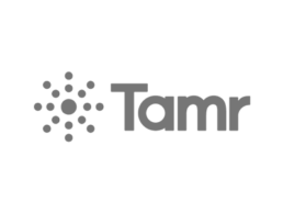 Logo for Tamr.